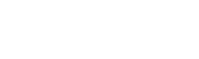 Foresight Fundamentals